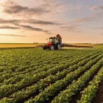 Ein Traktor, ausgestattet mit einer modernen Pflanzenschutzspritze, bearbeitet ein Feld mit Sojabohnen und demonstriert dabei die hochentwickelte Technik im Landmaschinenbau. Die Szene betont die Wichtigkeit von Fachkräften im Landmaschinenbau, die solche komplexen Agrarmaschinen entwickeln, bedienen und instand halten, um die Effizienz und Produktivität in der Landwirtschaft zu steigern.