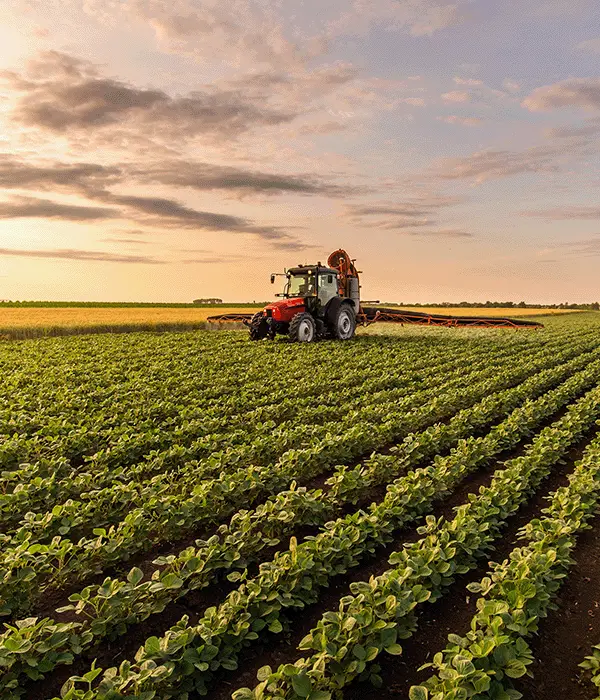 Ein Traktor, ausgestattet mit einer modernen Pflanzenschutzspritze, bearbeitet ein Feld mit Sojabohnen und demonstriert dabei die hochentwickelte Technik im Landmaschinenbau. Die Szene betont die Wichtigkeit von Fachkräften im Landmaschinenbau, die solche komplexen Agrarmaschinen entwickeln, bedienen und instand halten, um die Effizienz und Produktivität in der Landwirtschaft zu steigern.