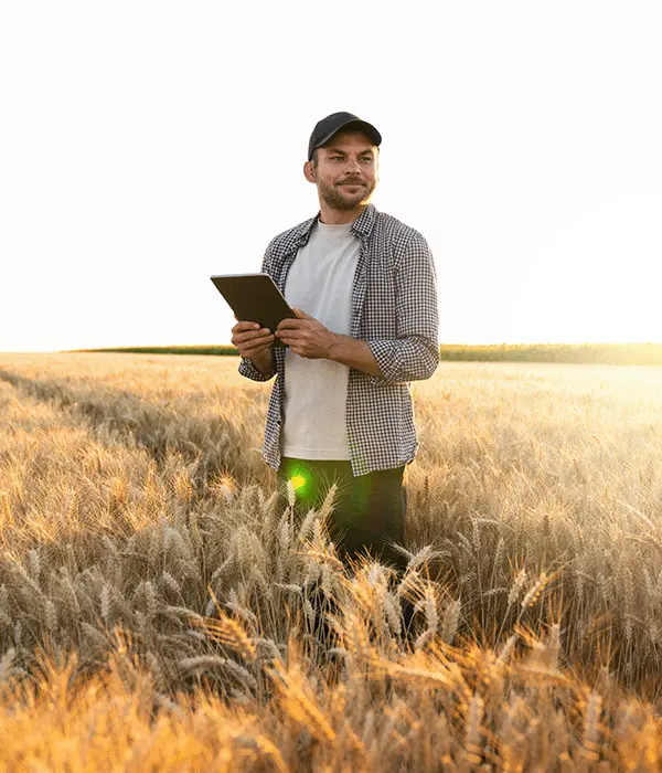 Landwirt untersucht das Getreidefeld und sendet Daten vom Tablet in die Cloud. Smart Farming und digitale Landwirtschaft.