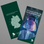 Mock-up eines RLE Engineering & Services Flyers mit Standortkarte Deutschlands und Branchenmotiv. Professionelles Werbematerial zur Präsentation von RLE Engineering & Services Lösungen im Bereich Halbleitertechnik